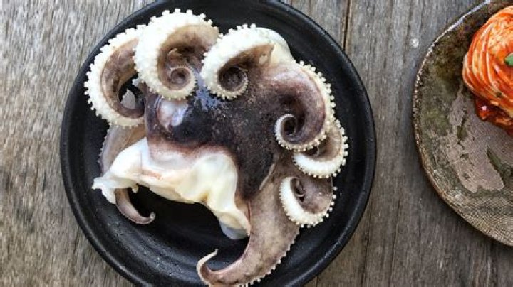 Is it safe to eat sannakji?