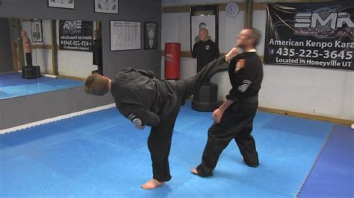 Is Kenpo a good workout?