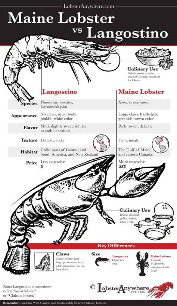 Is langostino really lobster?