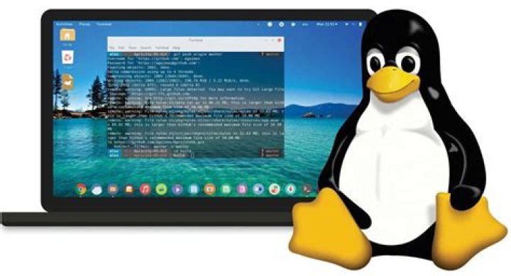 Is Linux a text based browser?