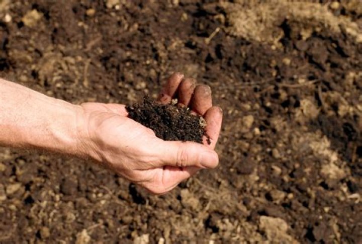 Is loam a good topsoil?