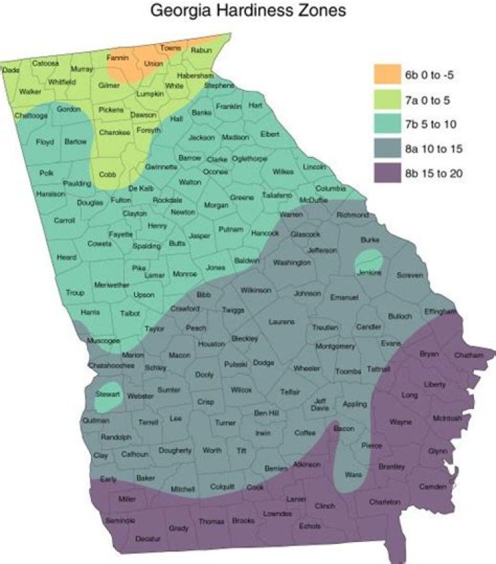 Is Macon GA growing?
