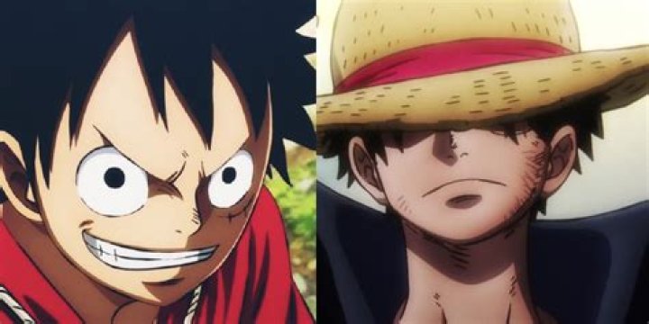 Is Monkey D Luffy a bad guy?