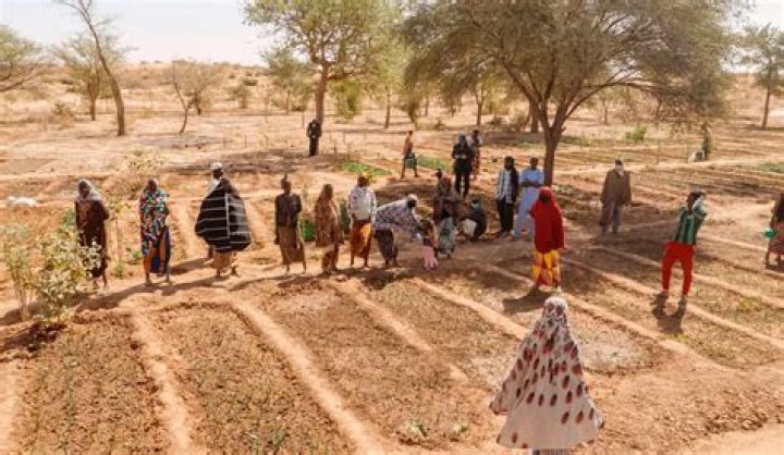 Is Niger poor or rich?