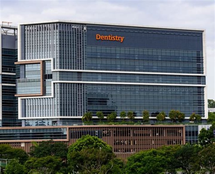 Is NUS dentistry Recognised worldwide?