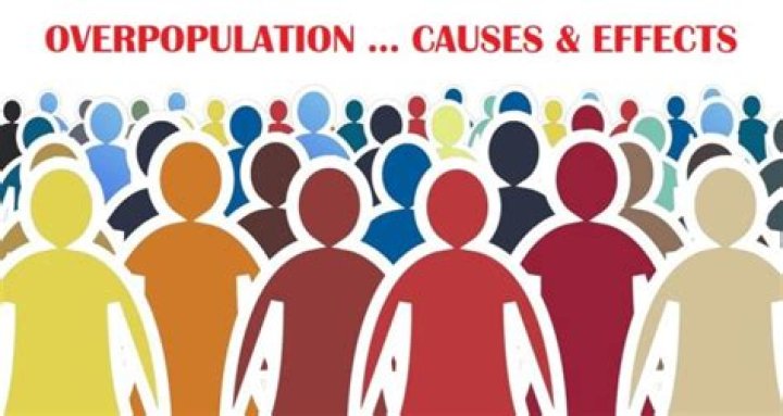 Is overpopulation the cause of hunger?