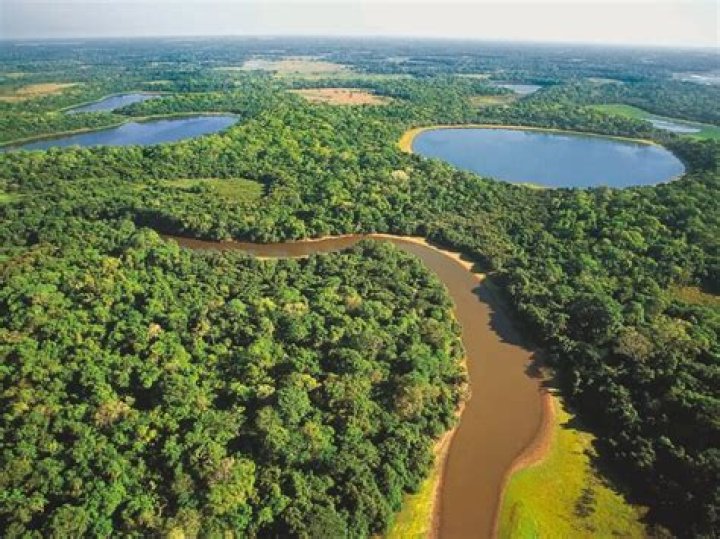 Is Pantanal safe?