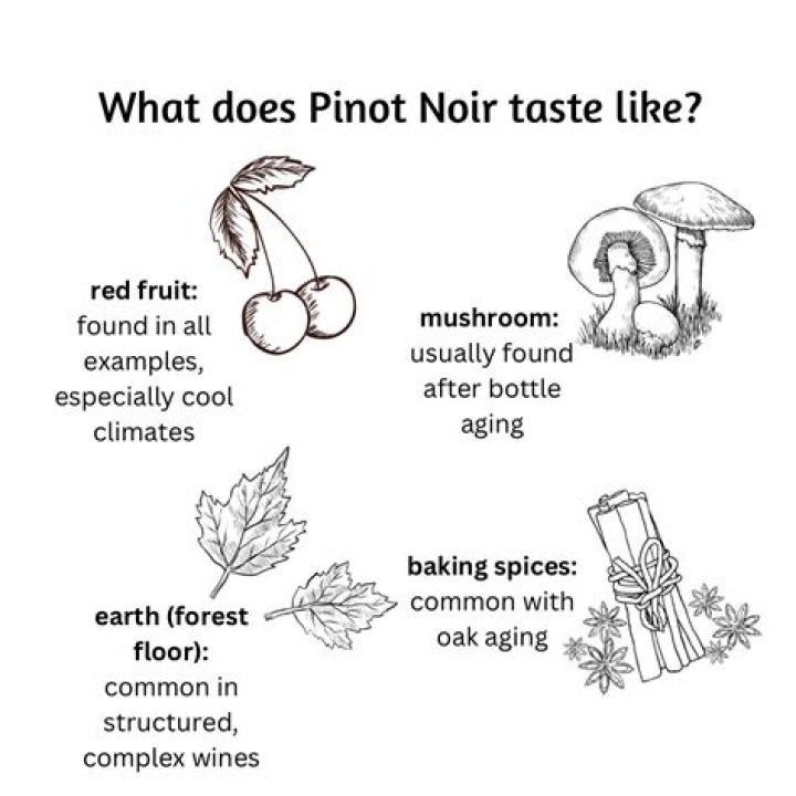 Is Pinot Noir served cold or warm?