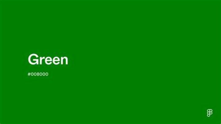 Is pretty green true to size?