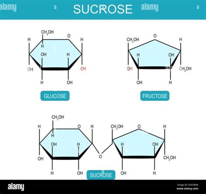 Is saccharose and sucrose the same?