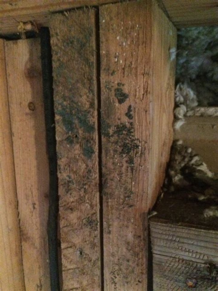 Is Servpro a ripoff?