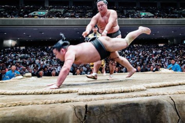 Is sumo wrestling unhealthy?