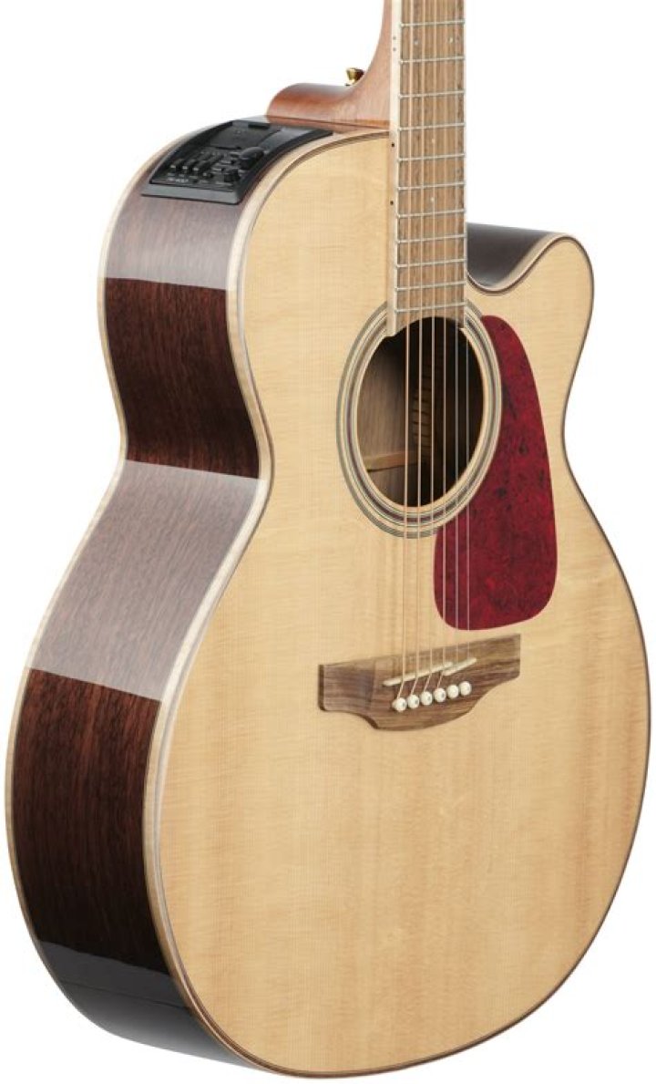 Is Takamine a good brand?