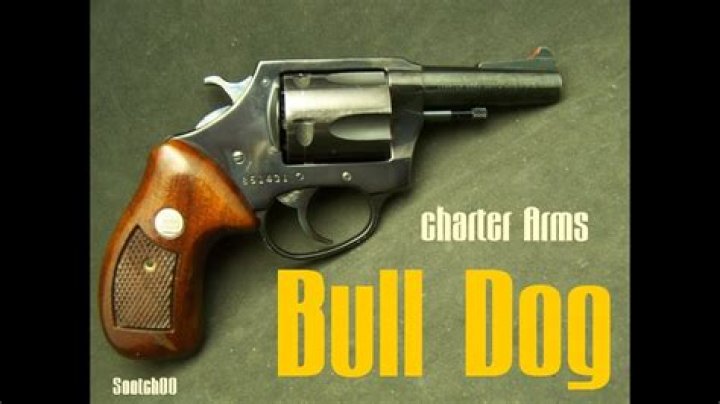 Is the Charter Arms Bulldog a good gun?