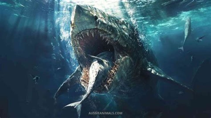 Is the Megalodon a mod in GTA 5?