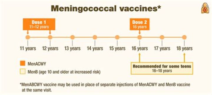 Is the meningococcal vaccine for meningitis?