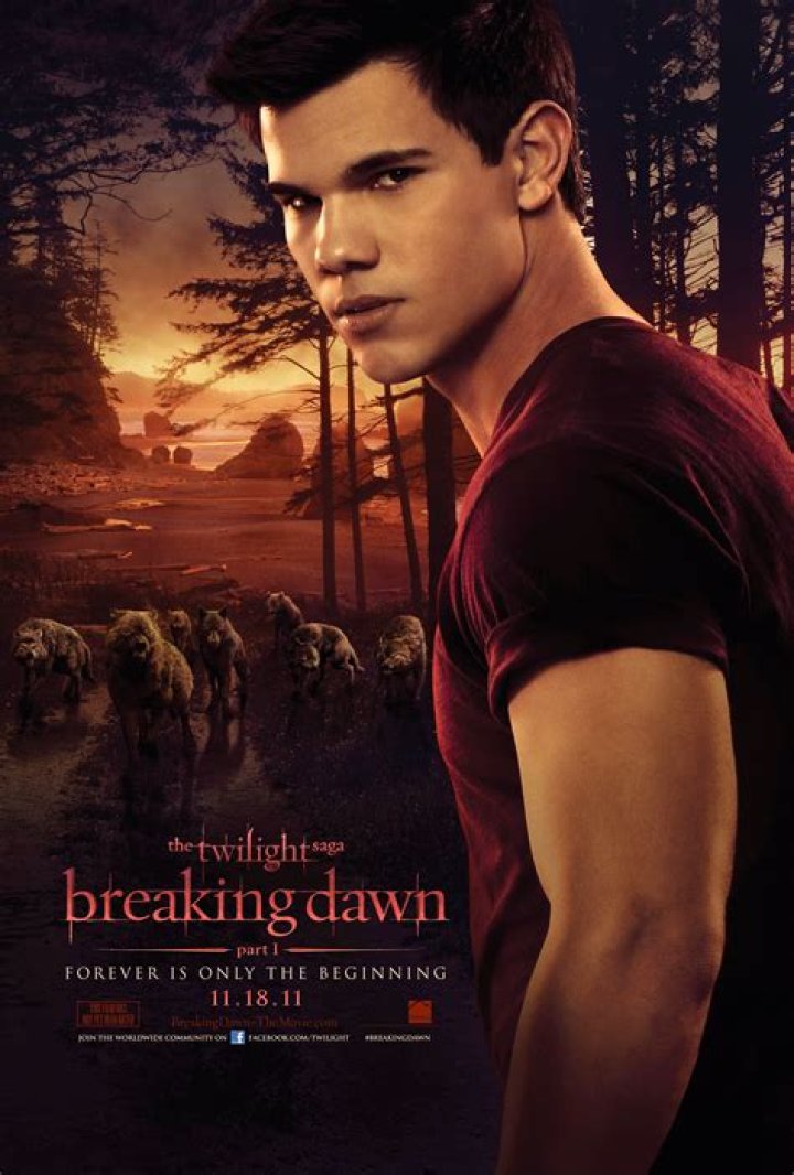 Is the twilight saga breaking dawn on Netflix?