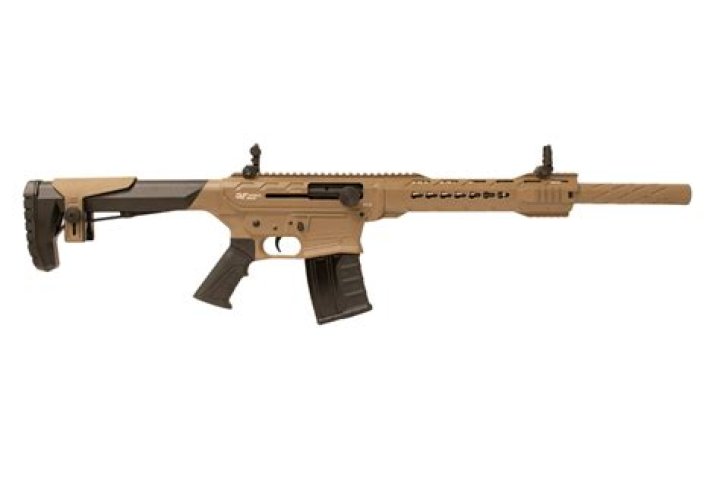 Is there an AR 12 gauge?
