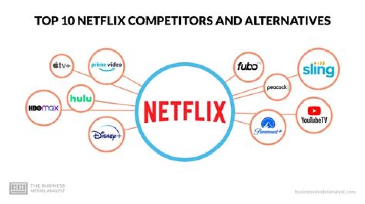 Is there anything similar to Netflix?