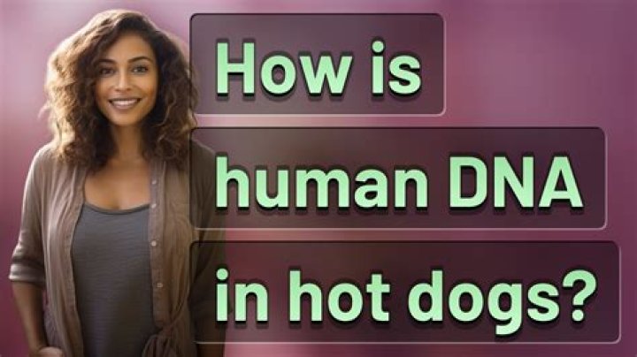 Is there human DNA in hot dogs?