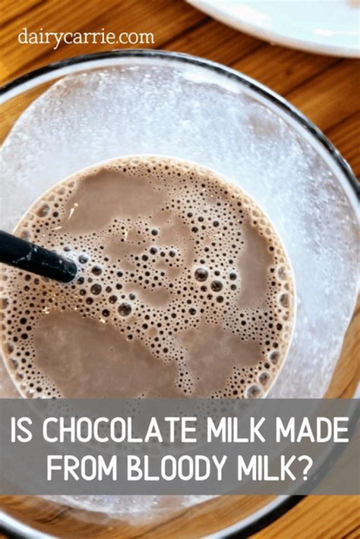 Is there really blood in chocolate milk?