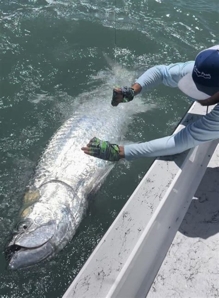 Is there tarpon in Texas?