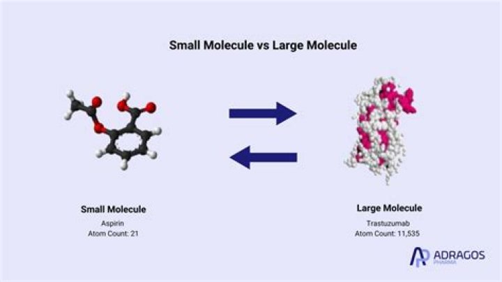 Is water small or large molecule?