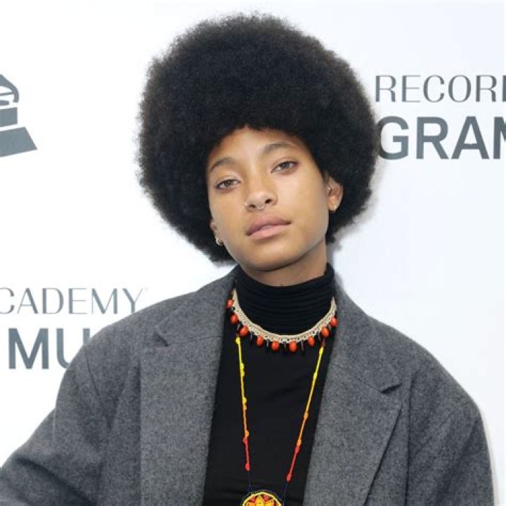 Is Willow Smith rich?
