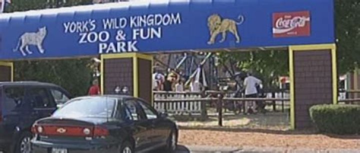 Is York Wild Kingdom closing?
