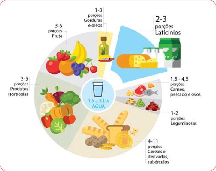 O que indica a roda dos alimentos?