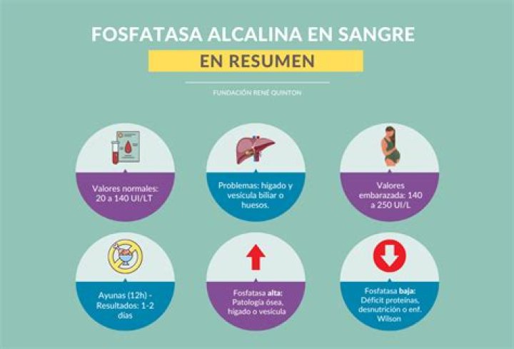 Que significa una fosfatasa alcalina alta?