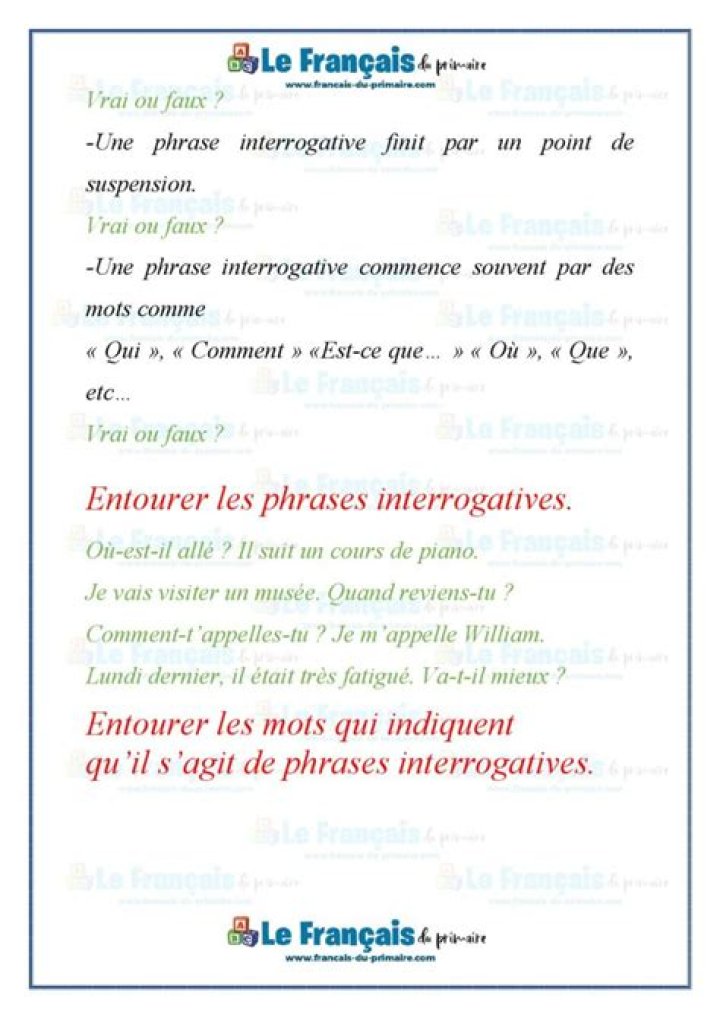 Quelle est la nature des phrases interrogatives?