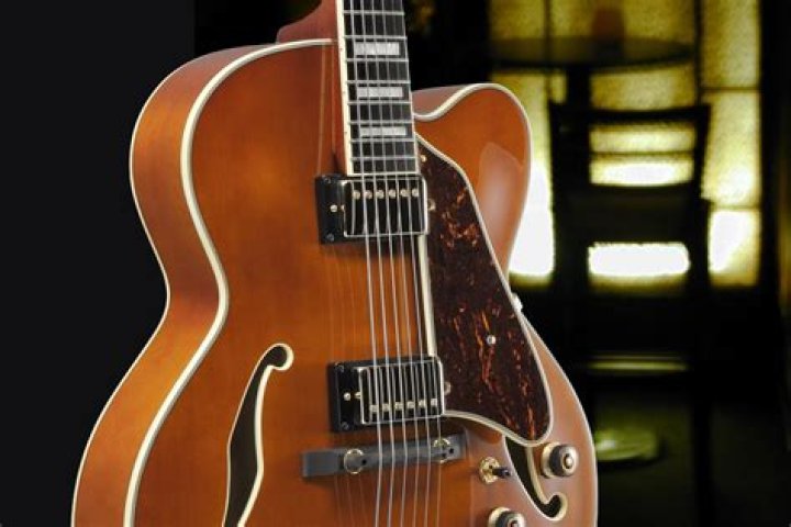 Should I get a solid or hollow body guitar?