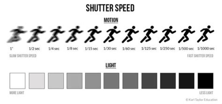 Should wildlife photographs use a slow shutter speed?