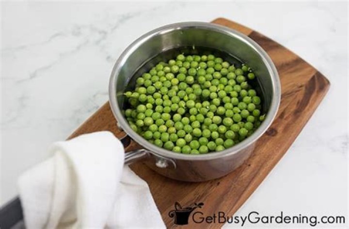 Should you blanch peas before freezing?