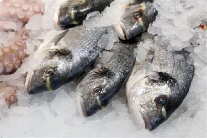 Should you defrost fish before cooking?