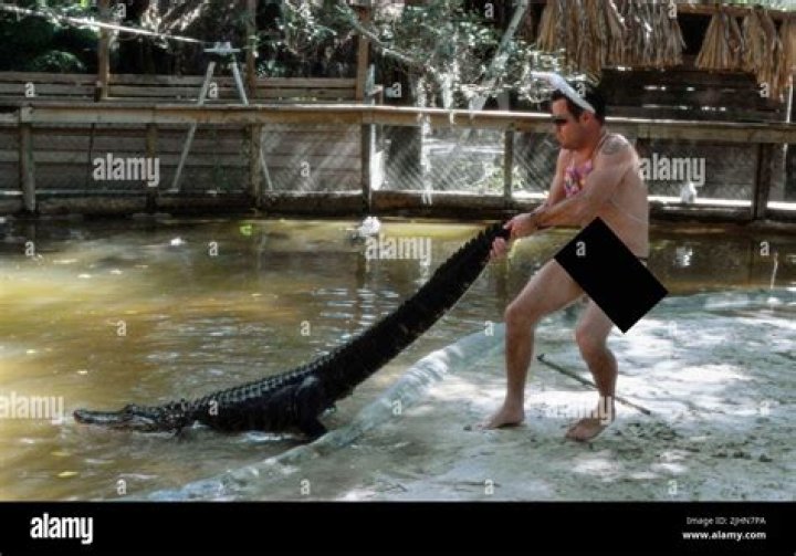Was the alligator Real in Jackass?