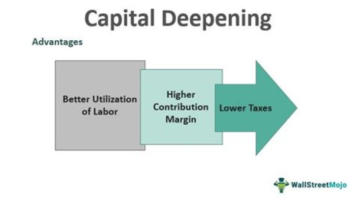 What all promotes capital deepening?
