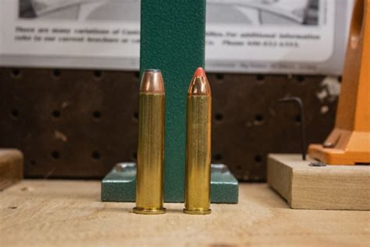 What ammo does a 444 Marlin use?