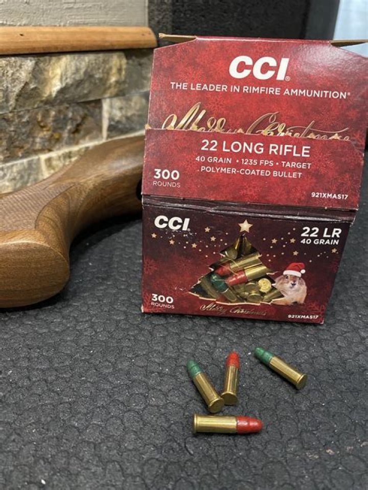 What ammo to use in Ruger 10 22?