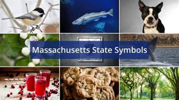 What animal represents Massachusetts?