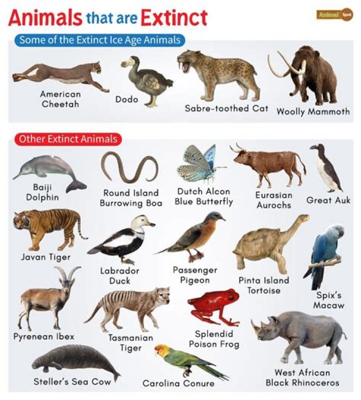 What animal was extinct in 2015?