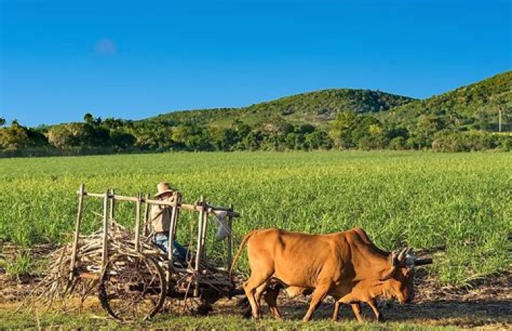 What are 3 major industries in Cuba?