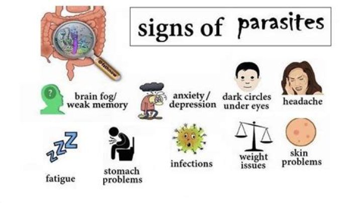What are 3 parasitic diseases?