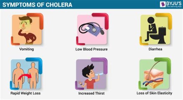 What are 3 symptoms of cholera?
