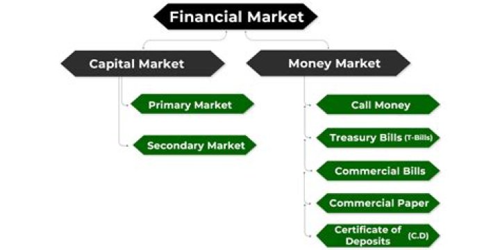 What are 4 financial markets?
