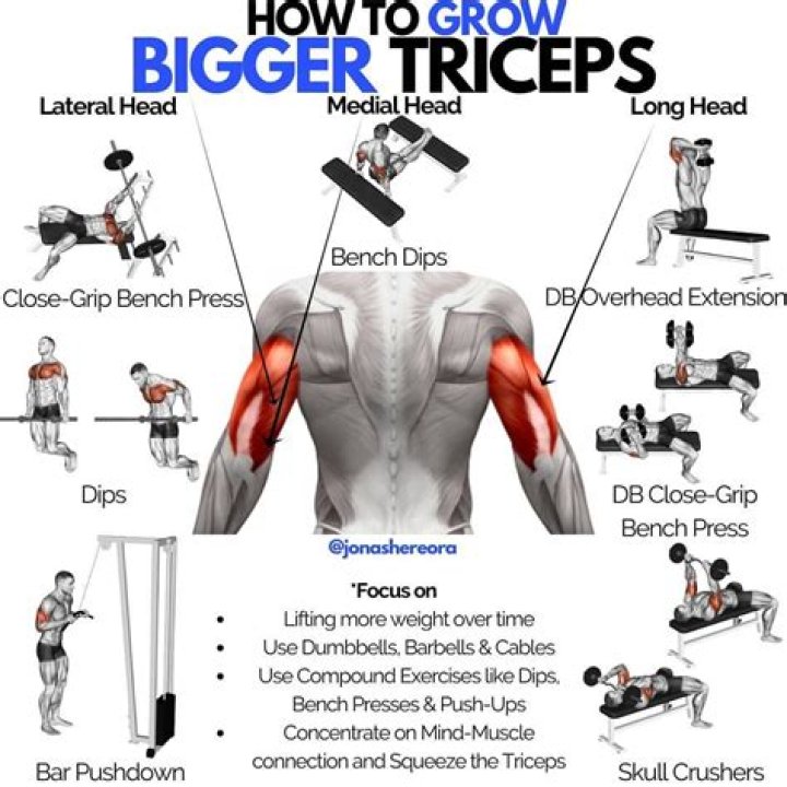 What are 5 exercises for triceps?