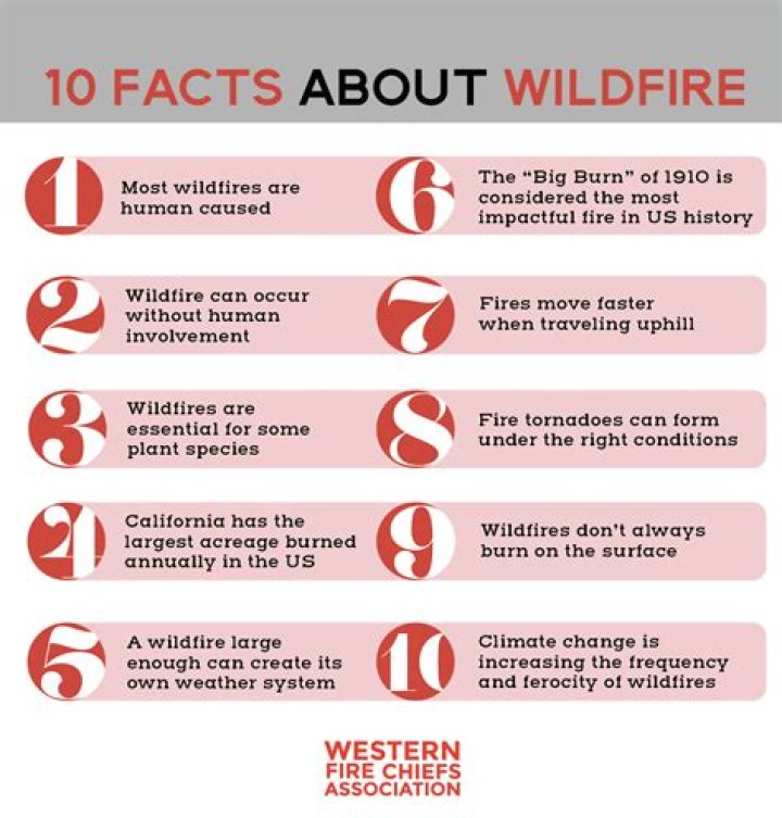 What are 5 facts about wildfires?