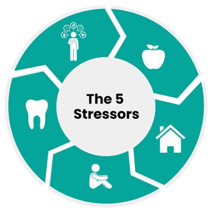What are 5 types of stressors?