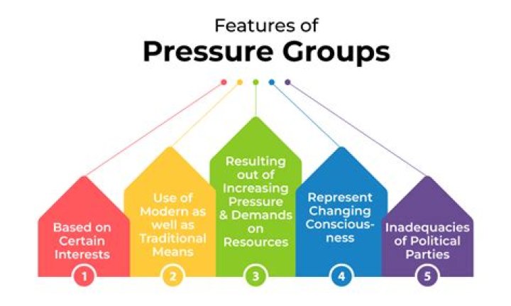 What are advantages of pressure groups?